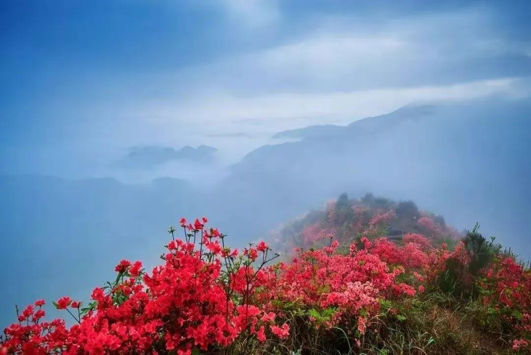 清明祭墓现代诗,现代诗清明祭双亲