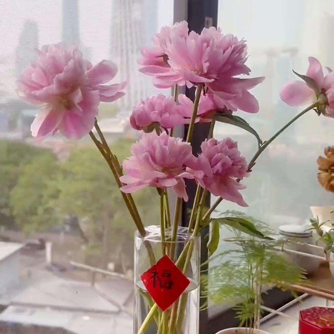 什么人需要购买保险,什么样的人适合买香港保险