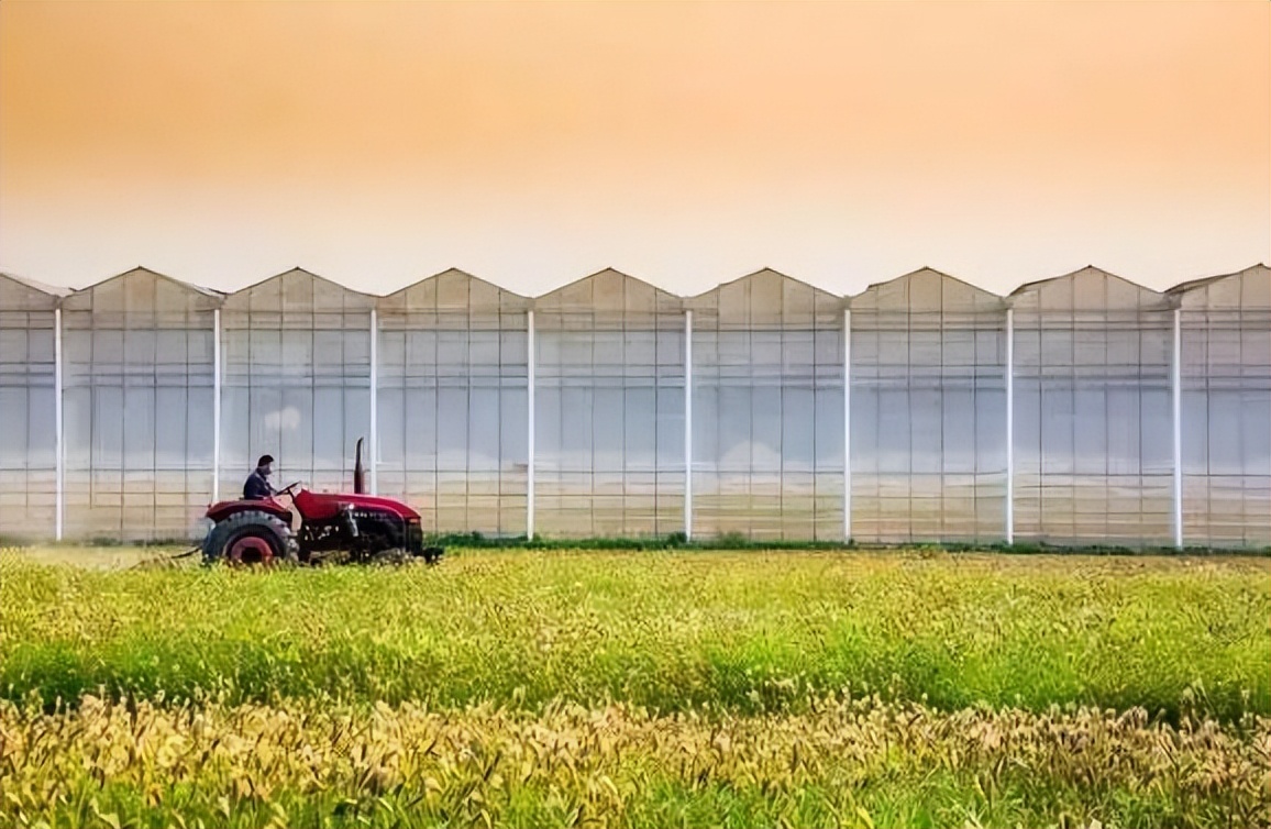 千亿级蓝海市场创富新机会,蓝海市场2020