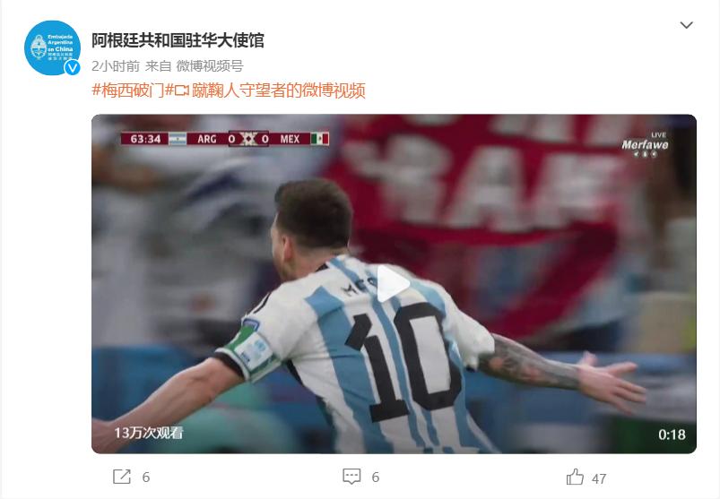 世界杯决赛阿根廷vs法国中国球迷,世界杯美洲区预选赛阿根廷巴西