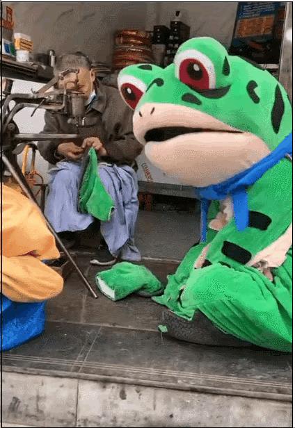 卖崽青蛙遭遇,卖崽青蛙来源