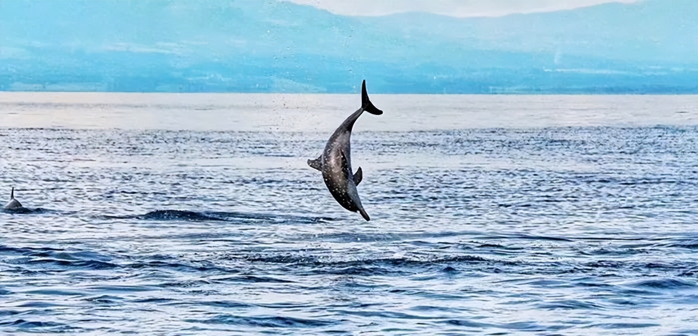 我的六日游——“浪漫之地”杜马盖地
