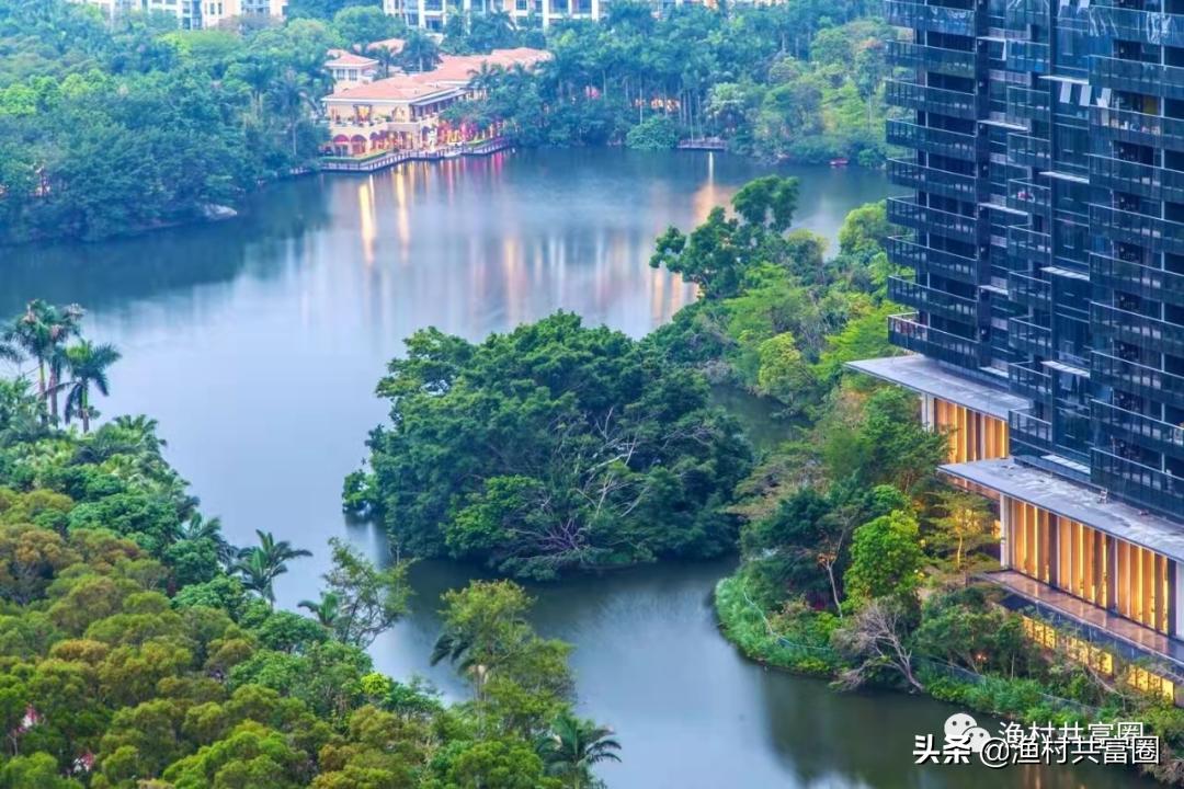 深圳湖景房哪家强?(南山篇)
