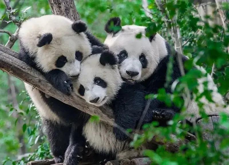 幽默爆笑笑话100个搞笑段子,幽默笑话搞笑段子100篇