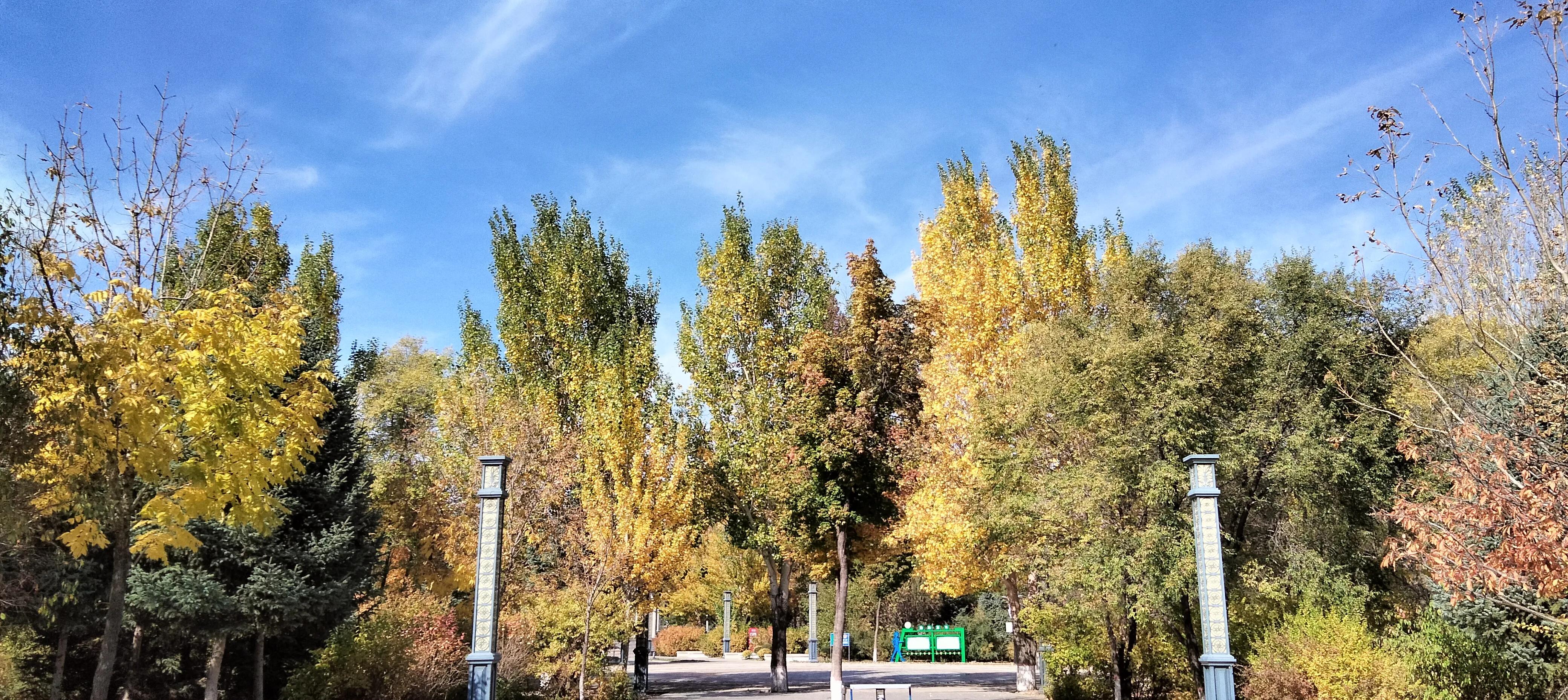 亲友群名片背景,家庭群名片