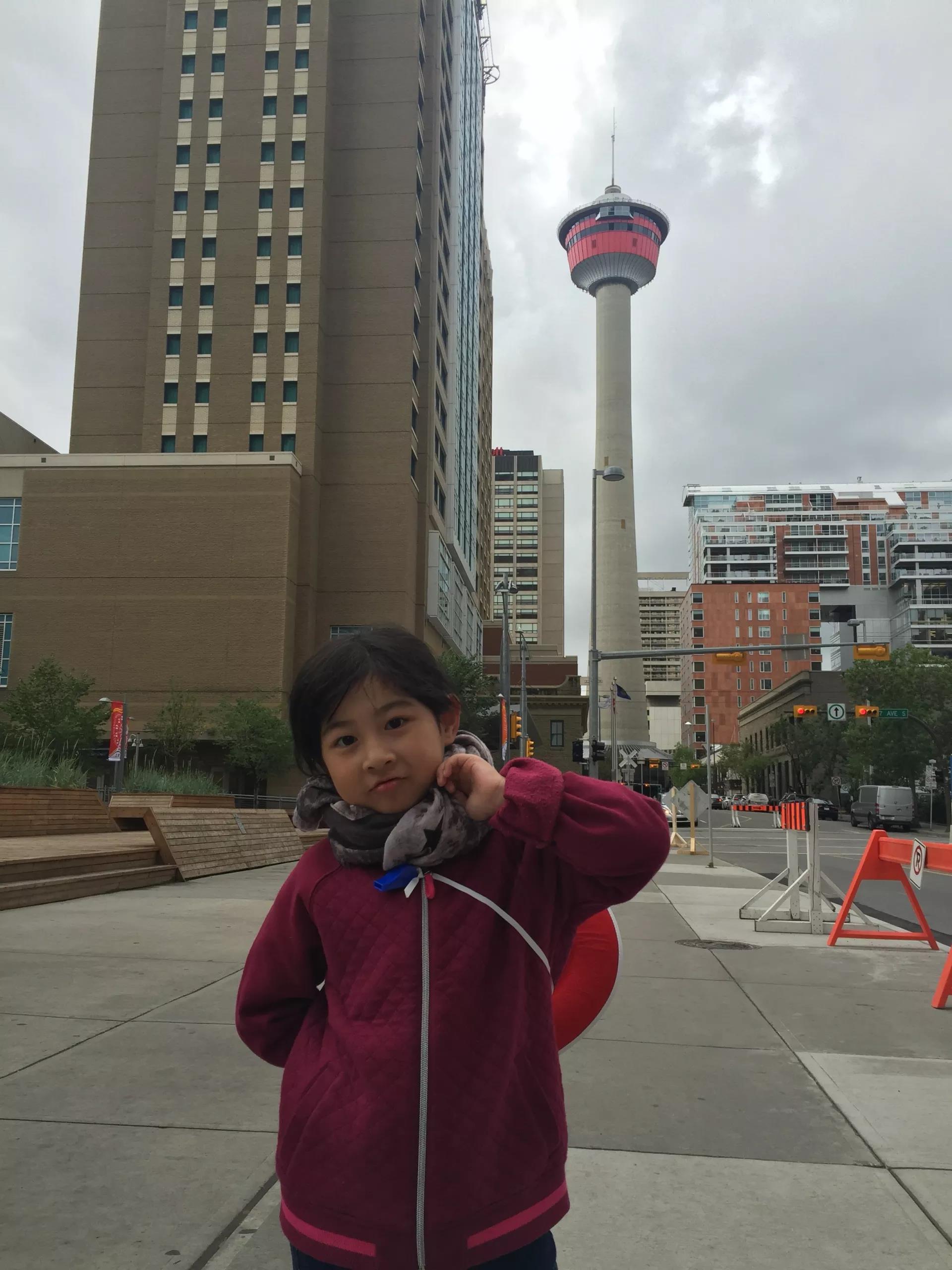 青岛如何带上猫猫去加拿大多伦多,钱猫猫加拿大之旅