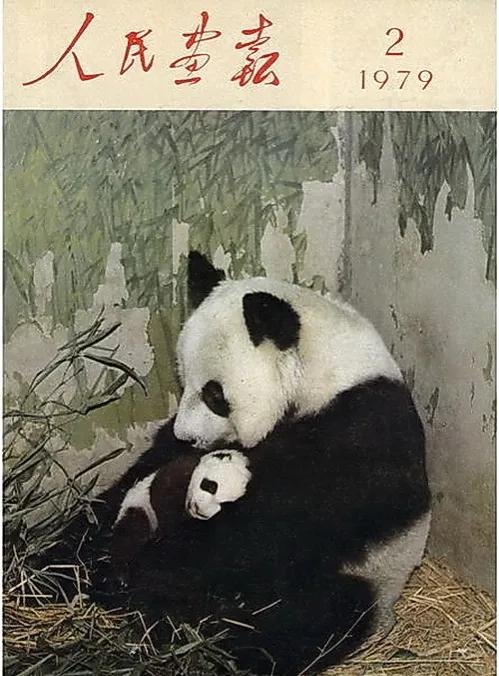 熊猫界几大家族,熊猫的种类有多少种