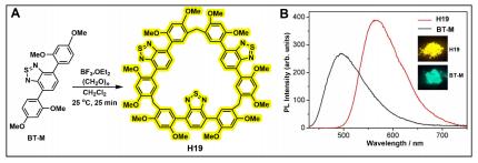 PXG/H13在非共价相互作用下，是如何有效阻止PXG反应的