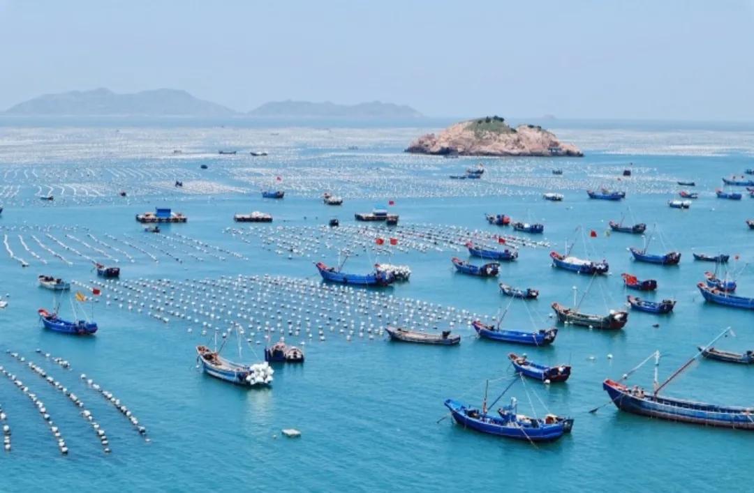 宁波出发枸杞岛旅游攻略,上海到枸杞岛自驾游攻略