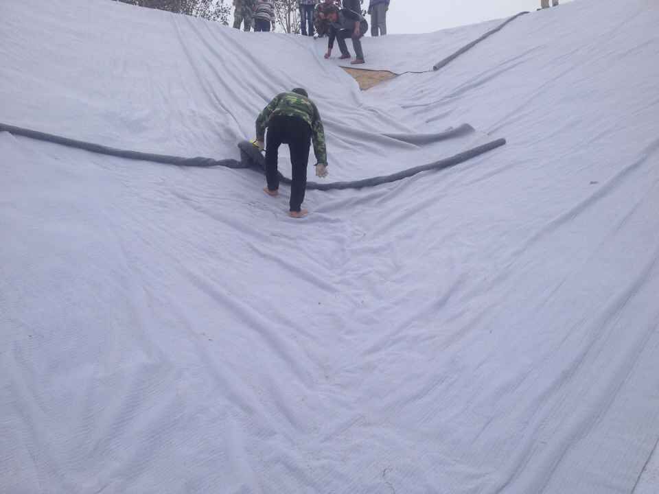 400g复合防渗土工膜,天津复合防渗土工膜规格