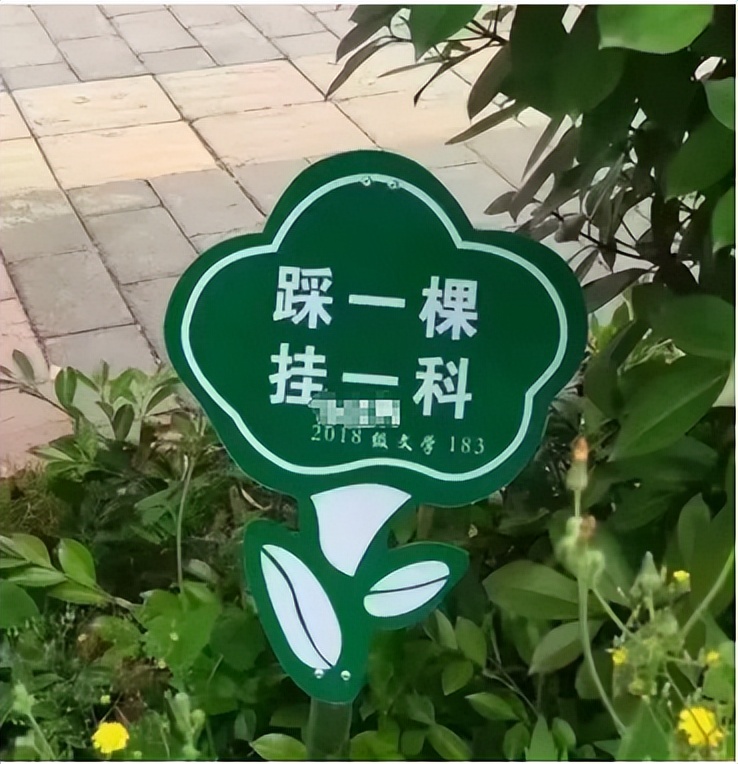 期末改卷老师,期末老师改试卷会看作文吗