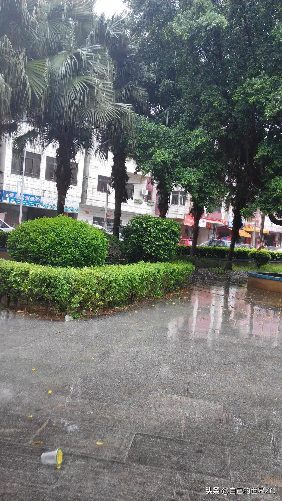 六月的雨教程,六月的雨完整版胡歌