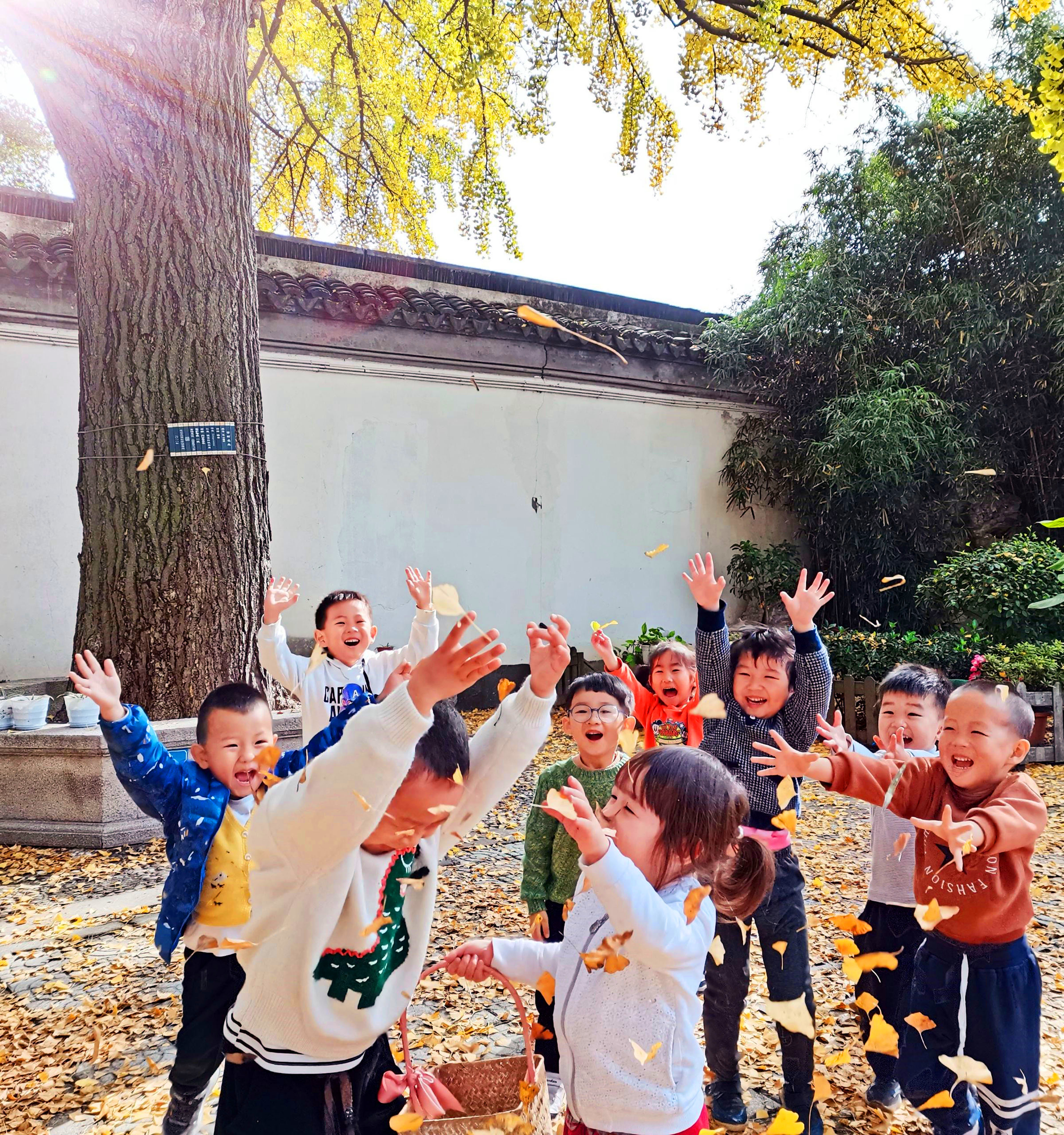 苏州小朋友用双手与银杏叶展开一场亲密接触享受快乐