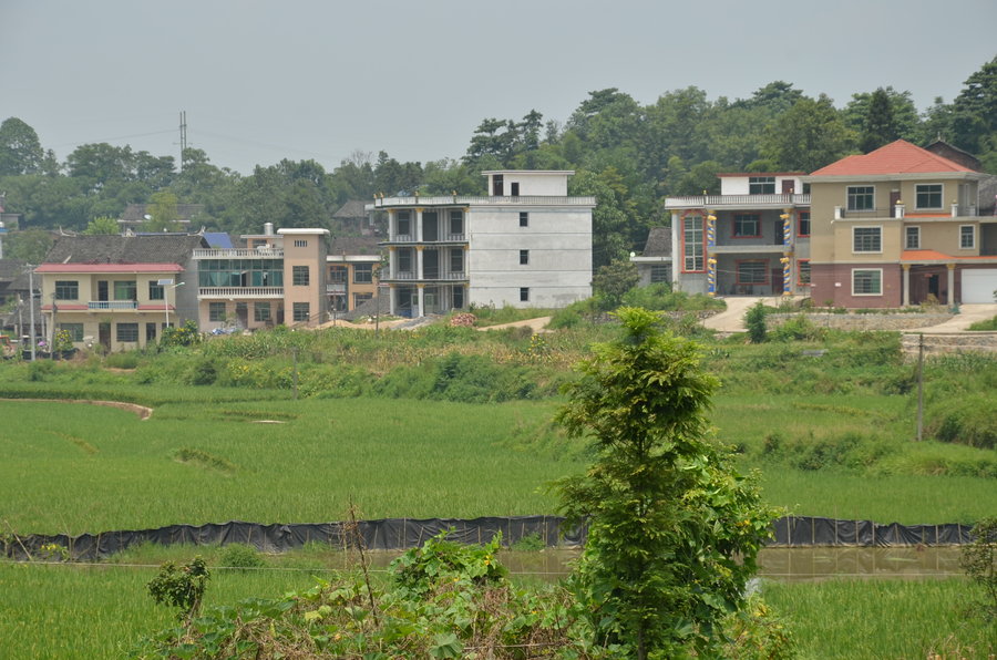 我，1999年来到深圳，当了一名司机，如今拥有一套房，价值上千万