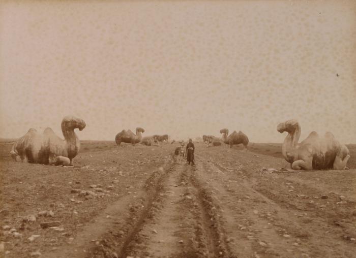 日军日记:*安妇慰**不服从管教,我很愤怒,用*刀刺**插入她的*体下**