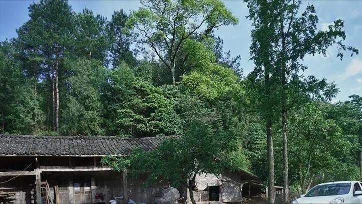 看着不起眼闷声发大财的行业,看着不起眼却挣钱的小生意