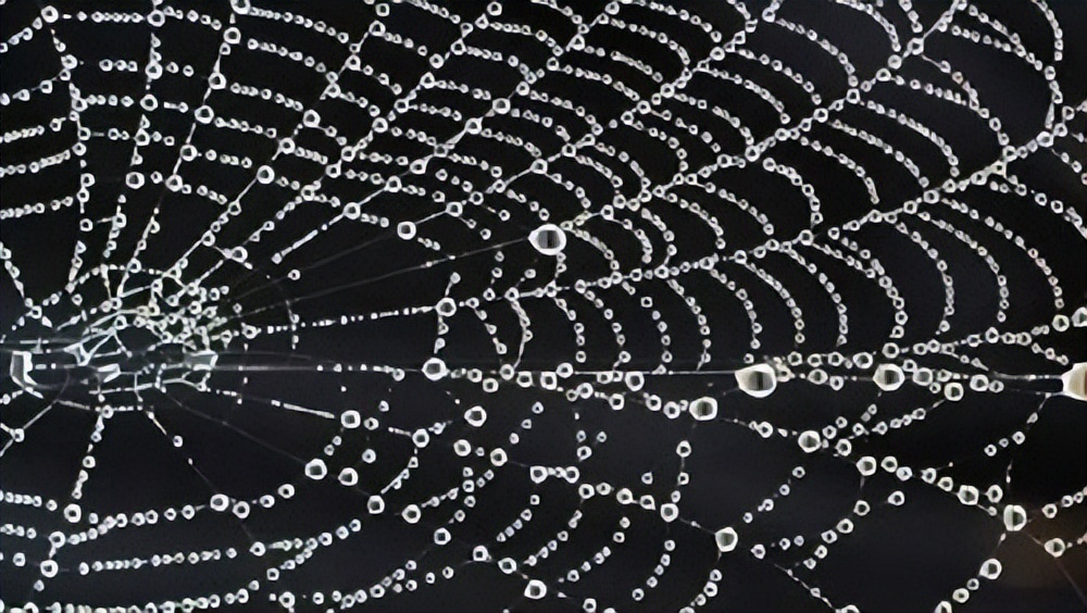 矿物纤维和玻璃纤维,首次发现天然玻璃纤维