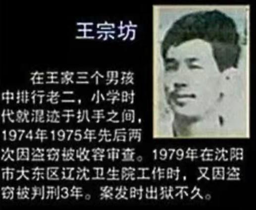 东北二王特大杀人案,三万军警围捕东北二王全集