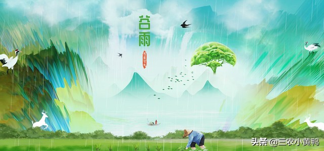 谷雨有什么忌讳,对今年的谷雨有什么说法