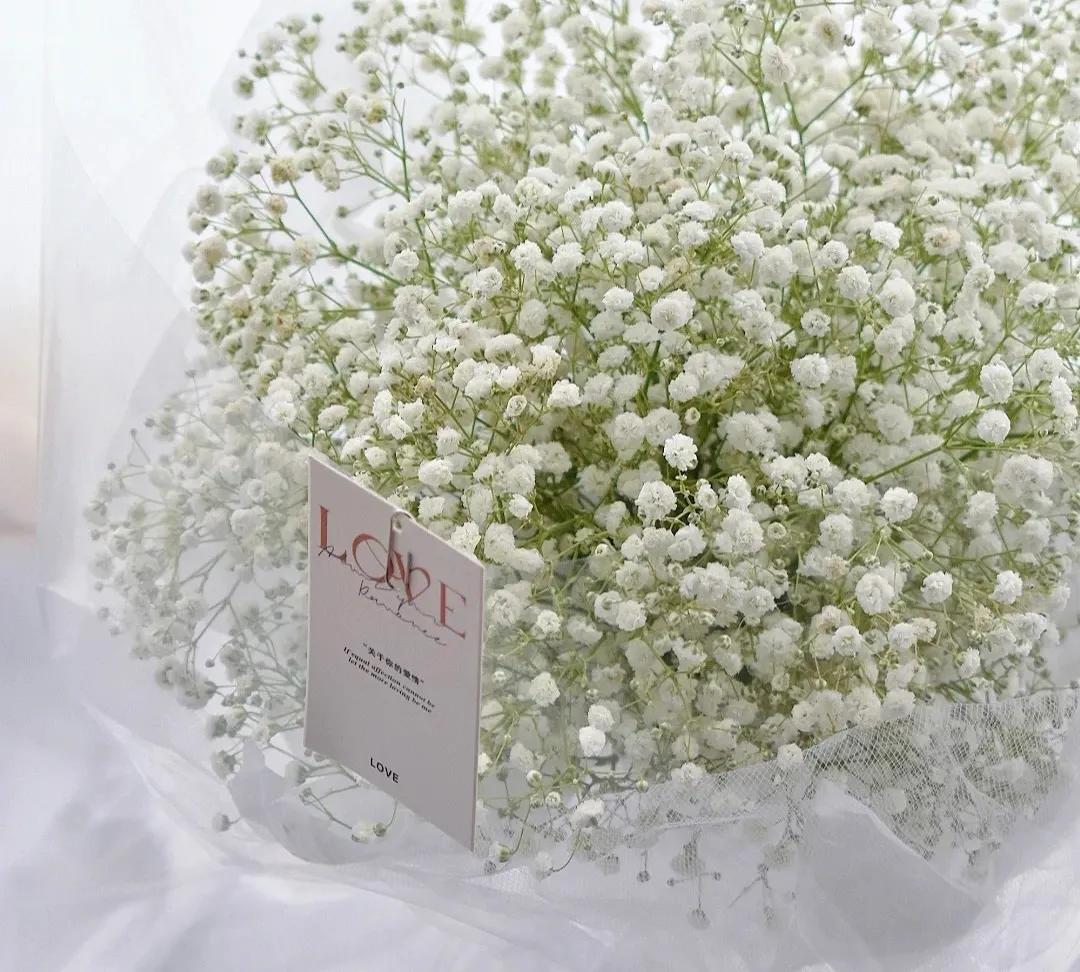 哪些花的花语惊艳了你好久呢,被哪种花的花语惊艳到