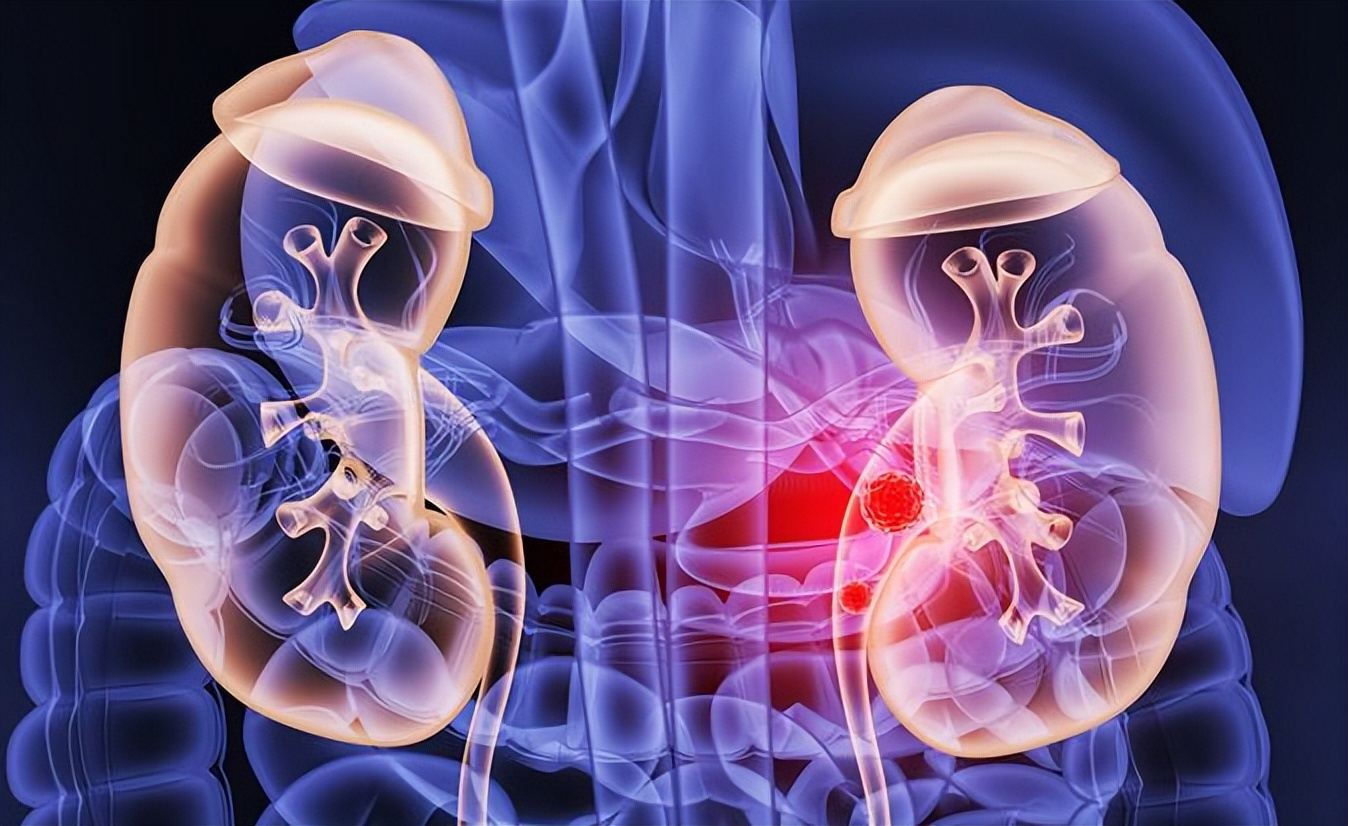 一个单身女青年的疑问,一位单身女性的疑惑