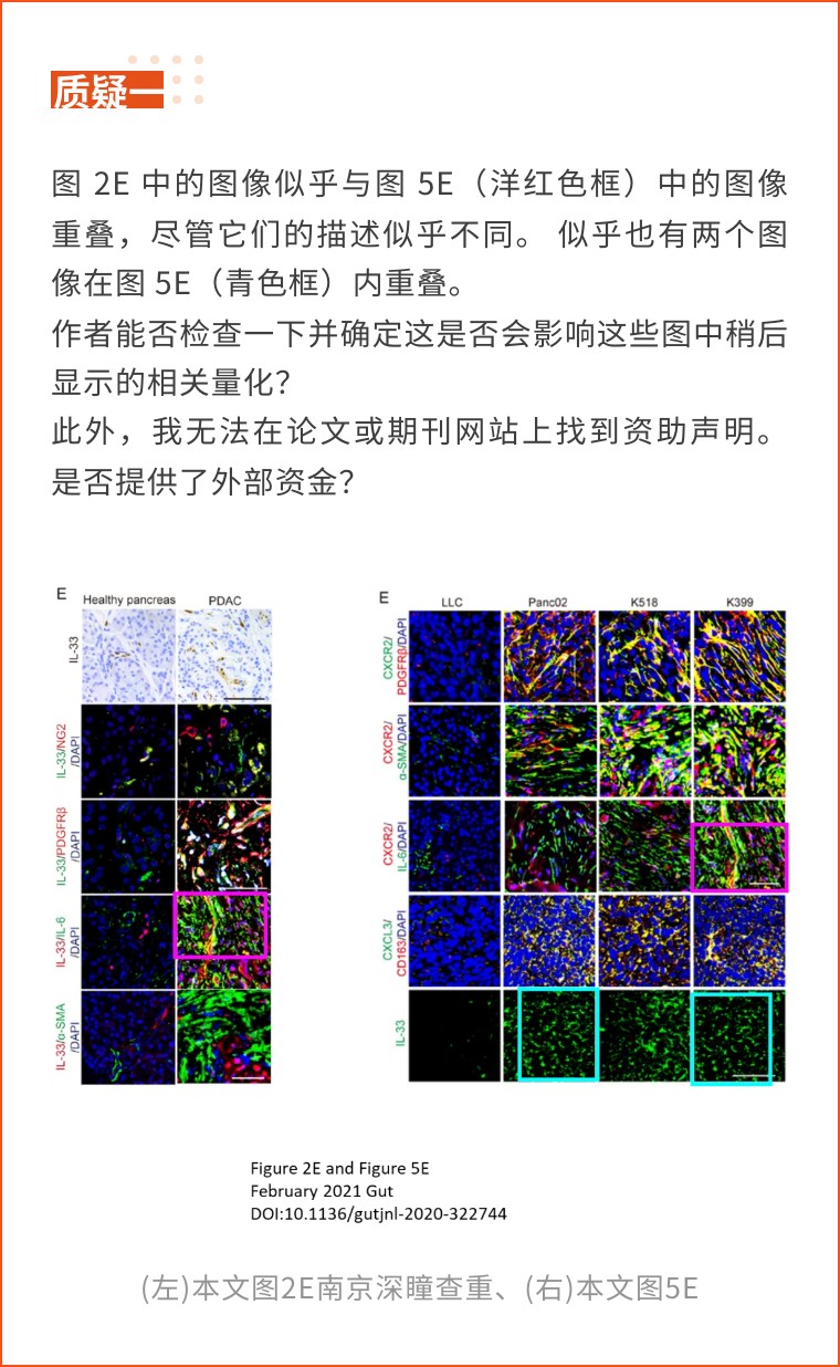 上海曙光医院发表的超高分一区论文被质疑，因存在多处图片问题