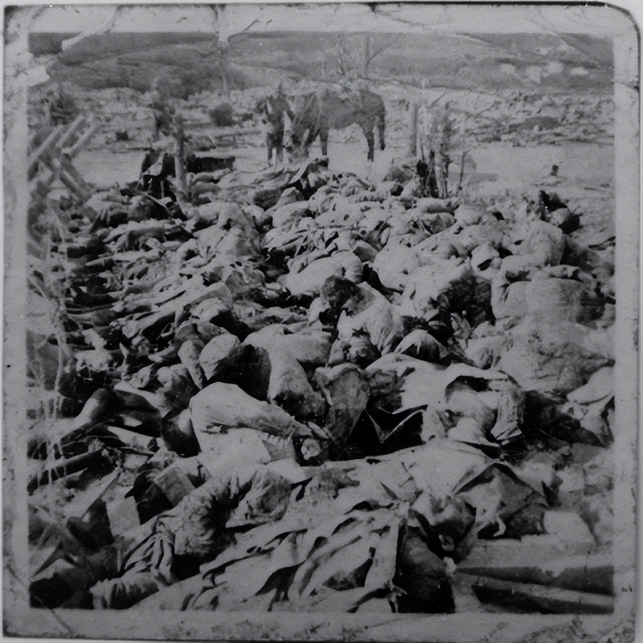 人教版教材插画事件涉及几年级,人教版插画事件最新消息