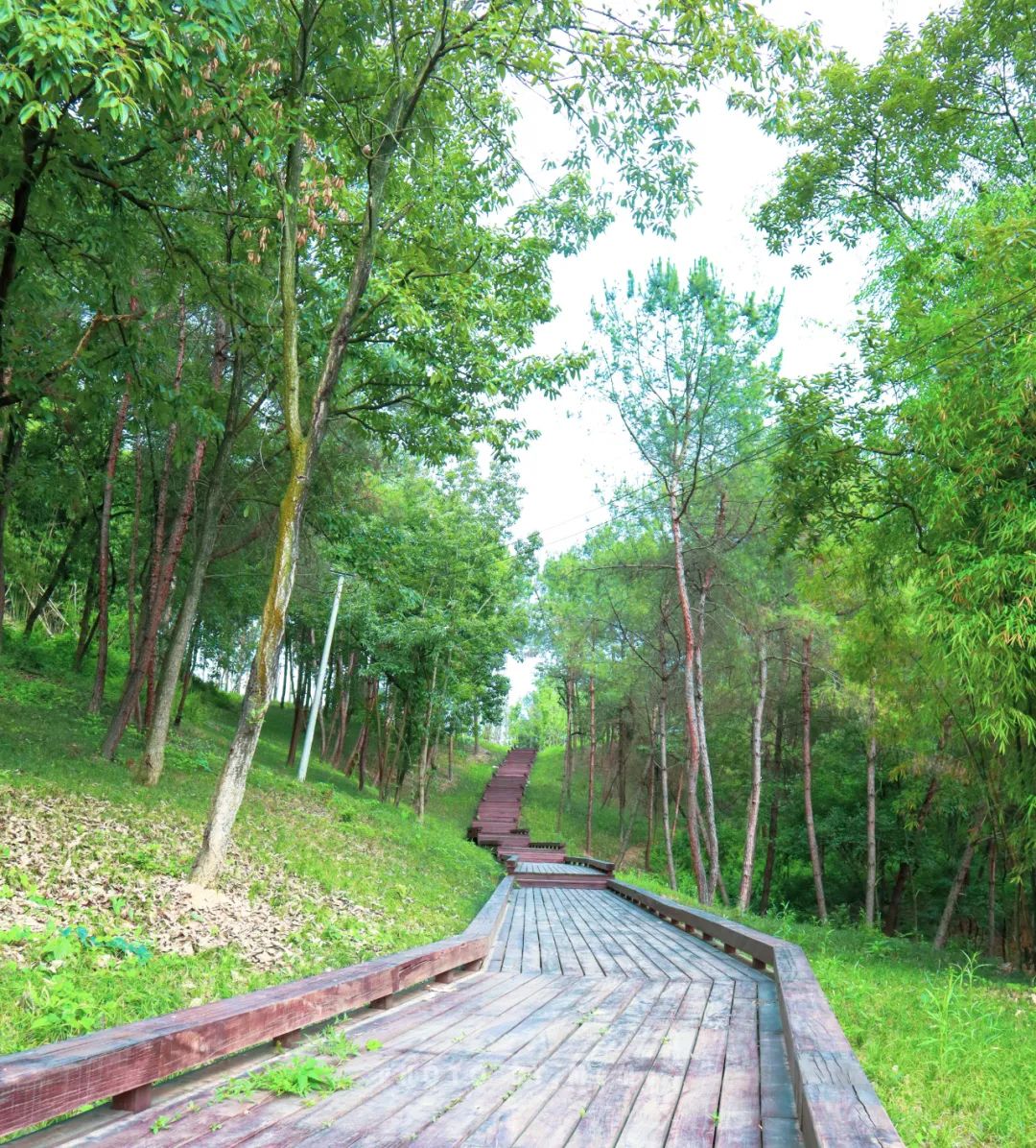 成都有哪些公园值得一去,成都必去的公园排行榜最新名单