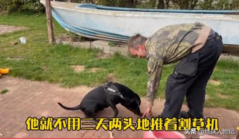 80后女人远嫁的感受,80后美女嫁到外地