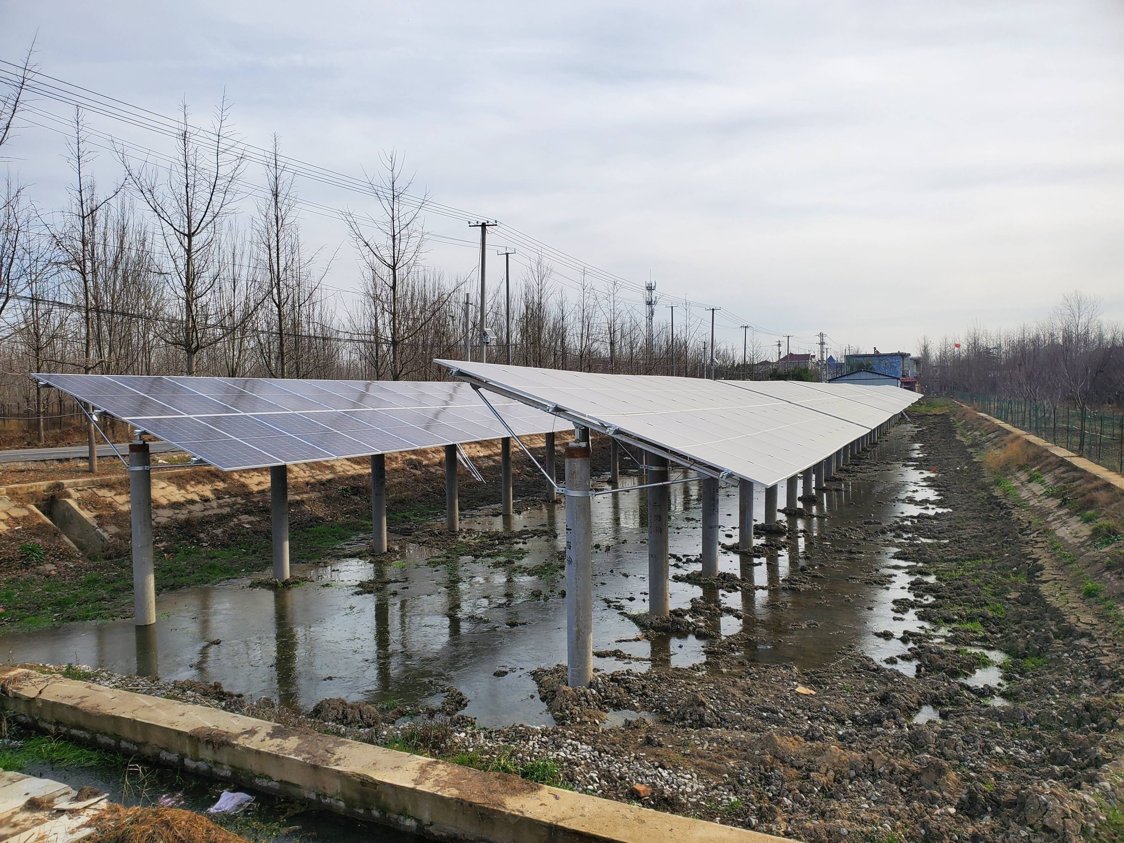 郯城乡村农业振兴,郯城县花园乡村建设