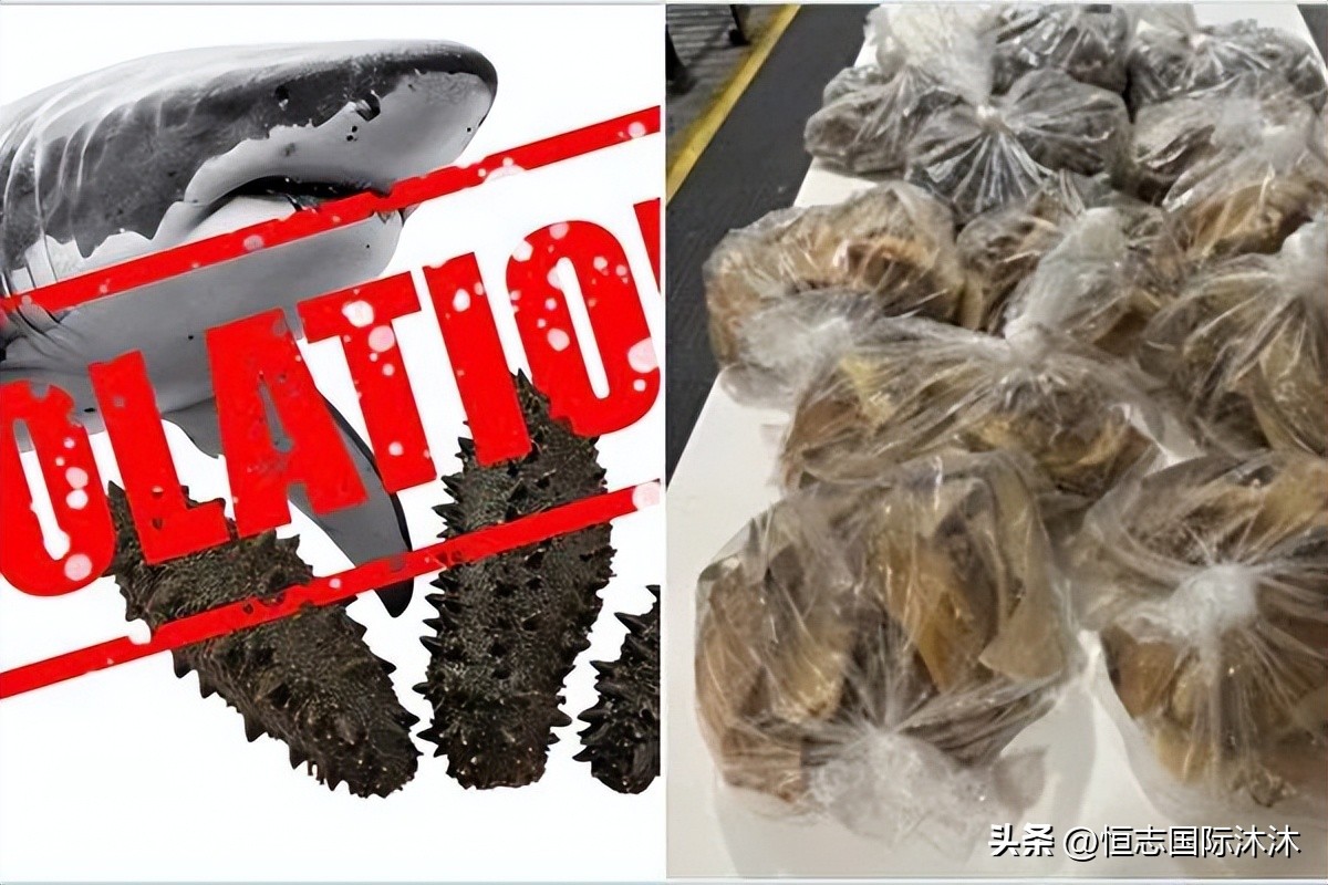 辛苦背来40斤海参鱼翅，华人刚下飞机就被罚款！