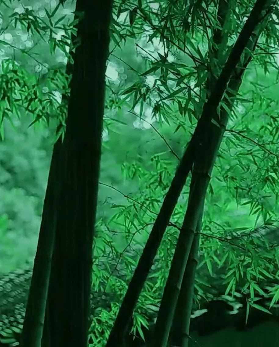 道之尊，德之贵，夫莫之命而常自然