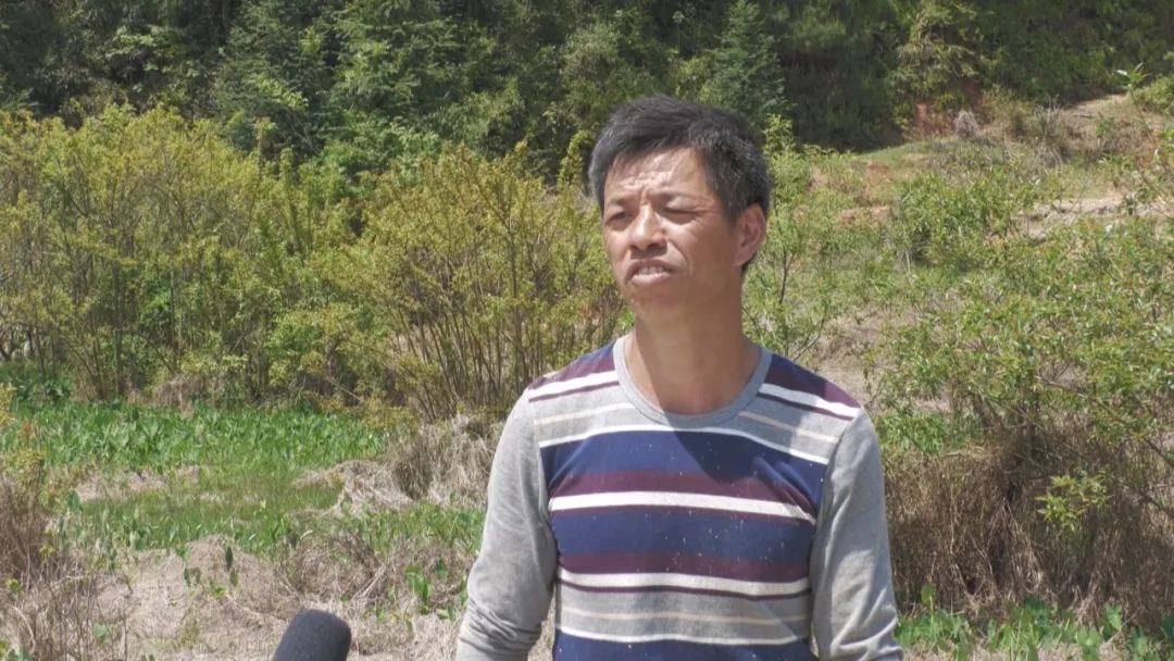 南丰打造产业集群,南丰县创业扶持