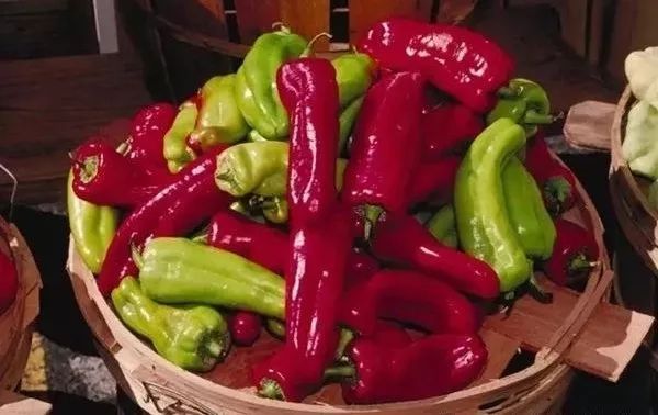 最辣的辣椒全球,全球超辣辣椒