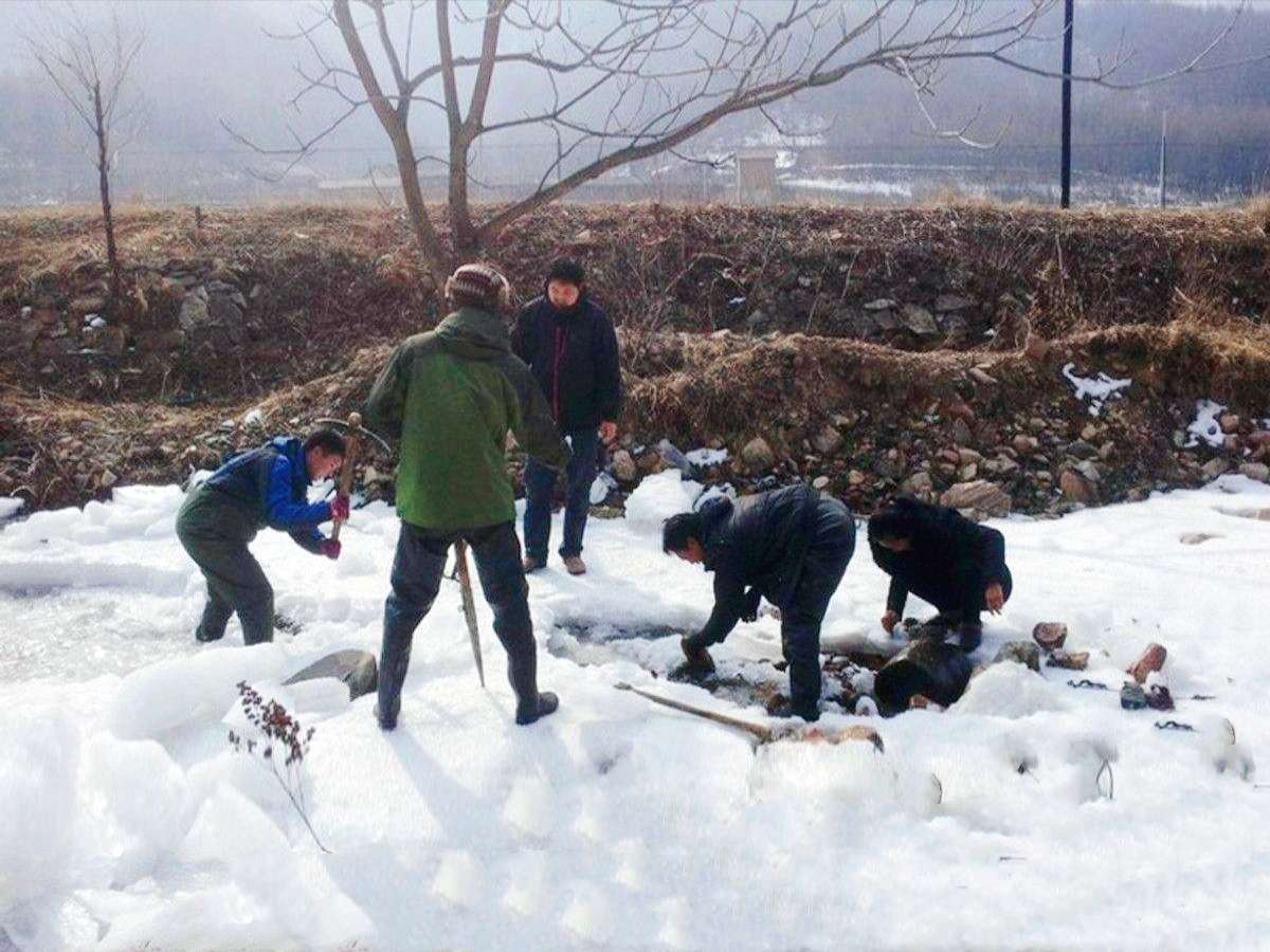 插队时的记忆：五十多年前三道湾抓蛤蟆