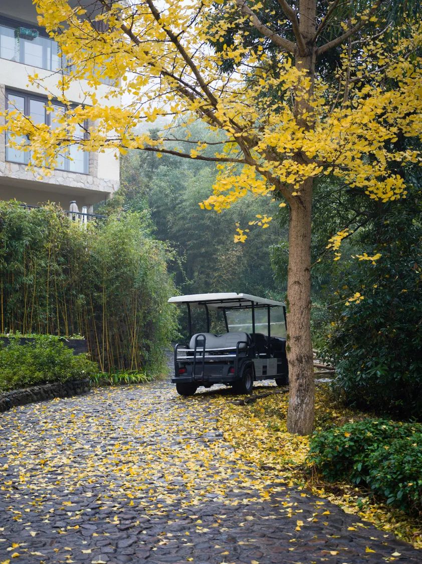 适合冬天去的民宿莫干山民宿,莫干山民宿天花板体验之旅