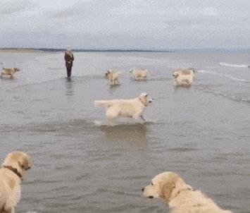 纹身为什么要三思而后行,颈部纹身三思而后行