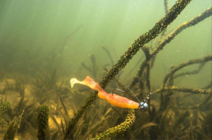 璺簹濡備綍闃叉姢楸奸挬,寰墿璺簹閽撻奔楸奸挬
