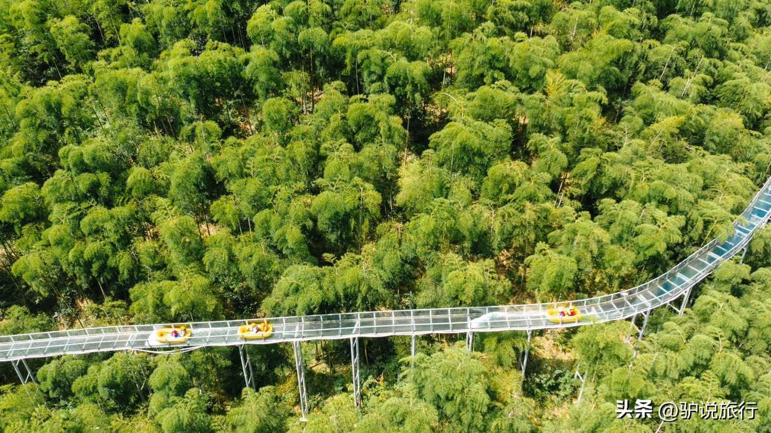 雨天安吉大竹海旅游攻略,安吉避暑探险玩水3天2夜攻略