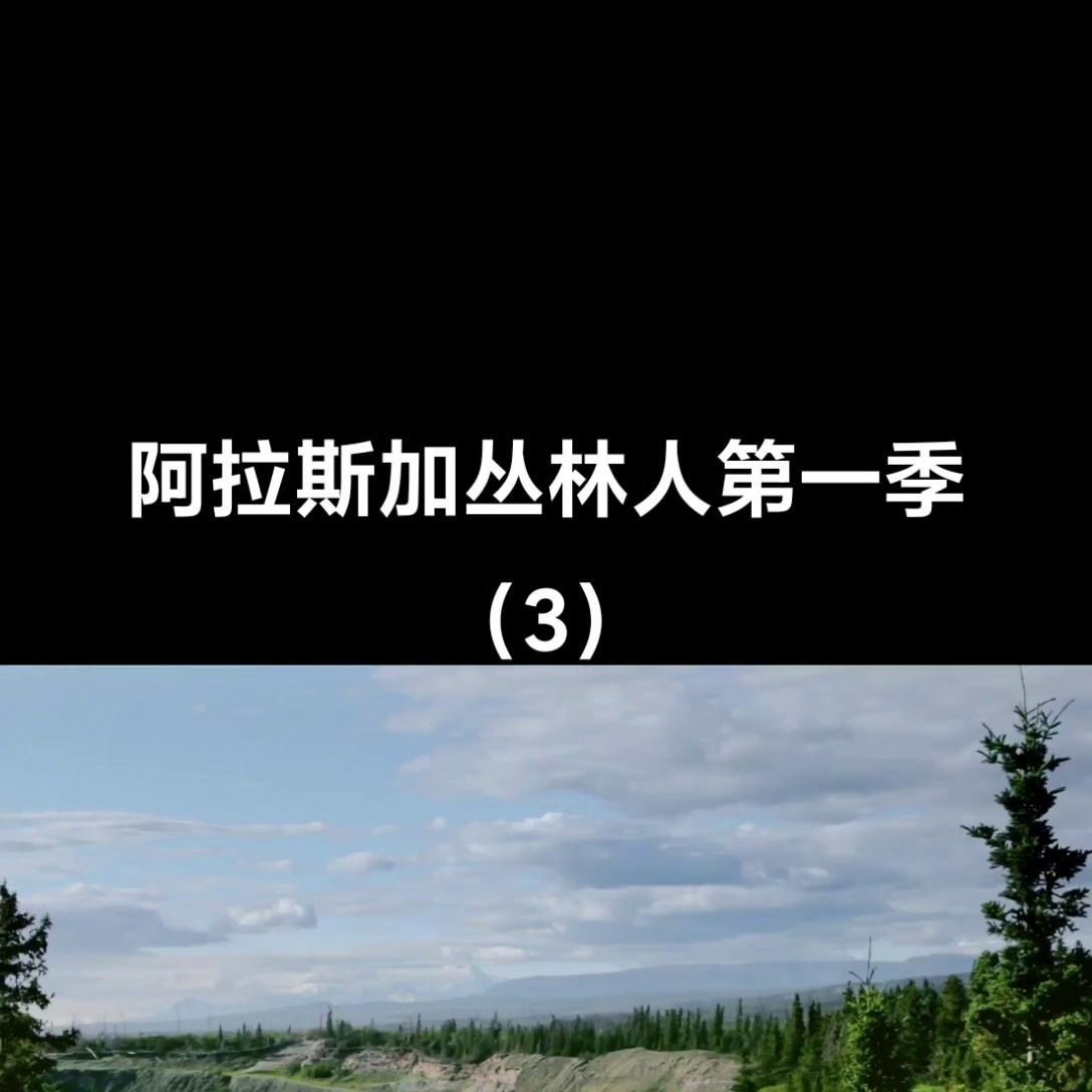 布朗的单身儿子们集体去镇上酒馆去相亲，他们是如何摆脱单...