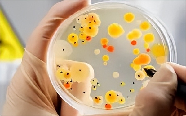 到了更年期得尿路感染怎么办,夏季女性尿路感染的主要原因