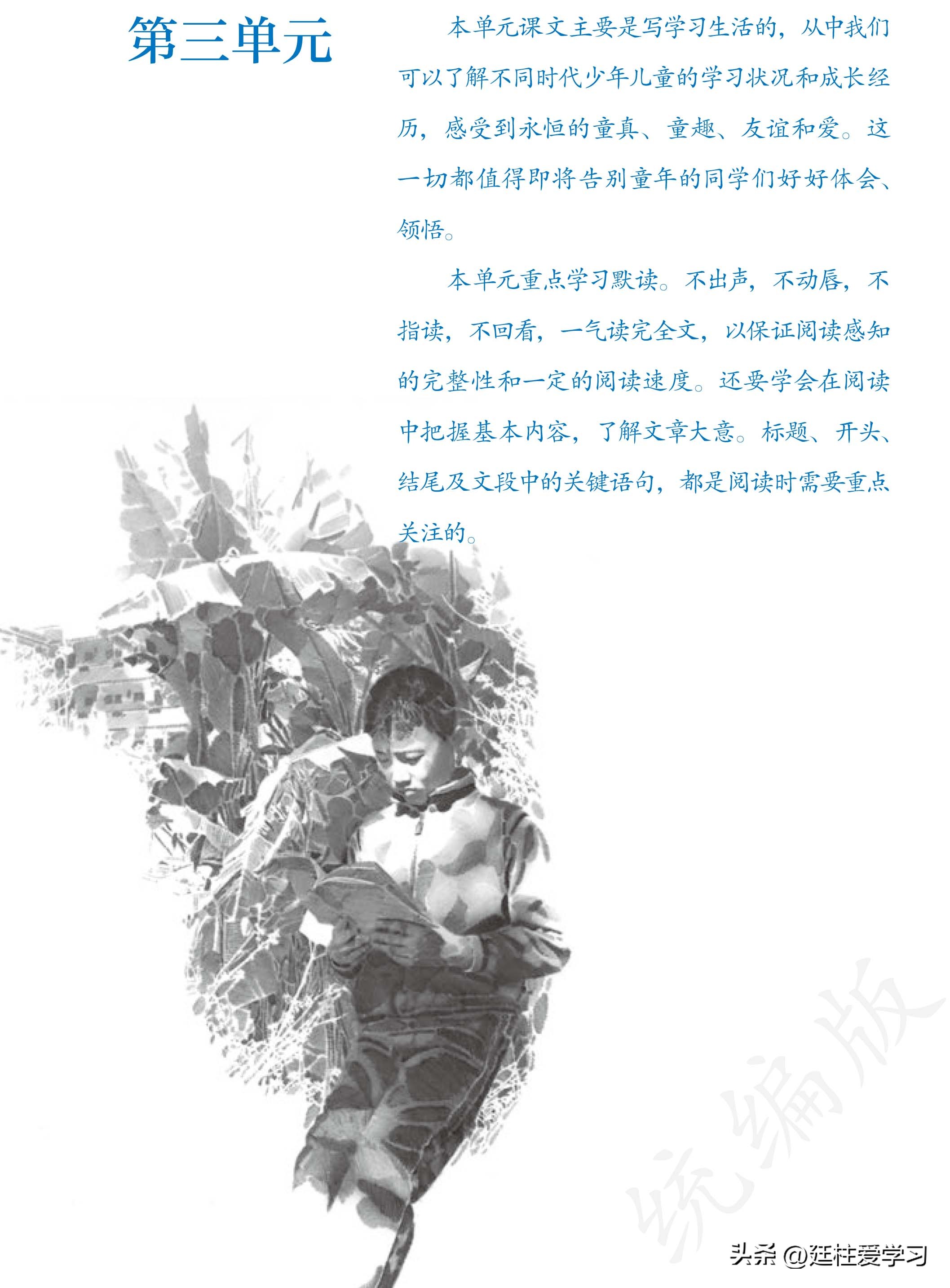 语文七年级上册电子版,语文七年级上册电子版课时练