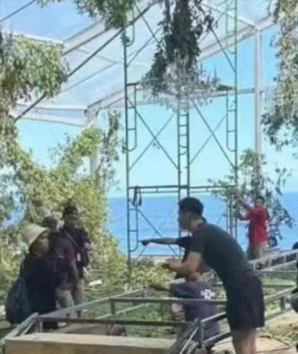 张一山祝福何超莲窦骁,张一山窦骁何超莲婚礼服装