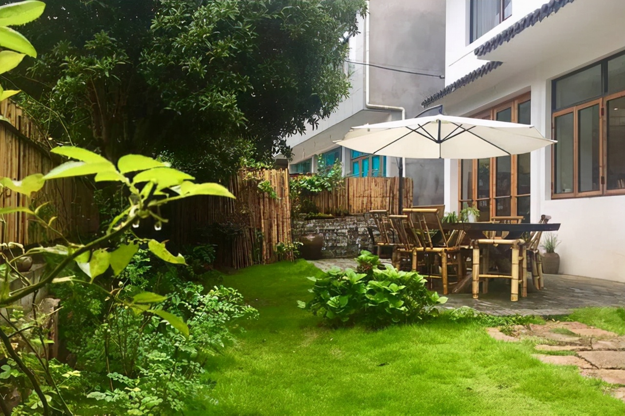 家里室内种什么树旺宅,适合家里种的镇宅树