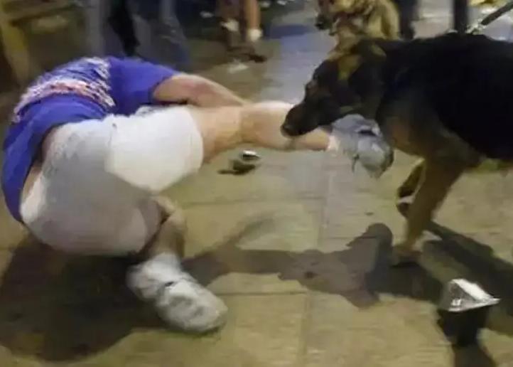 逗狗被咬索赔后续,逗狗被咬视频合集