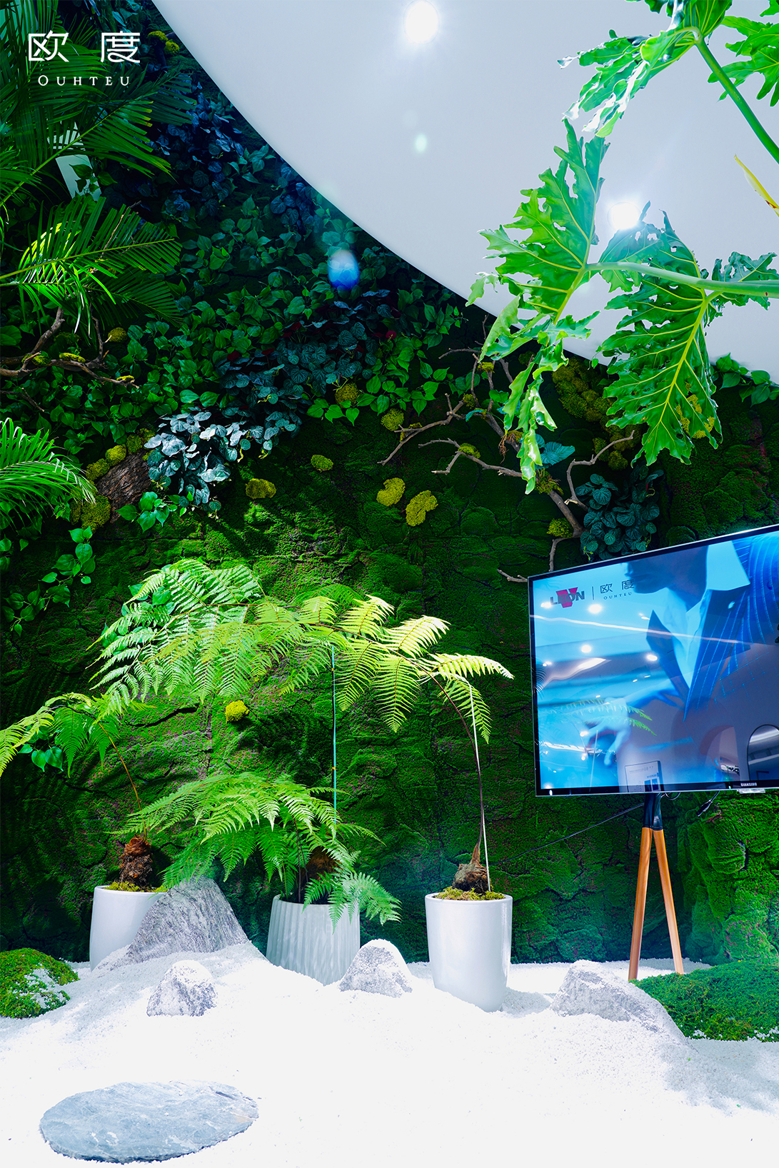 欧度xpaolasmania联名款,欧度和gucci联名款