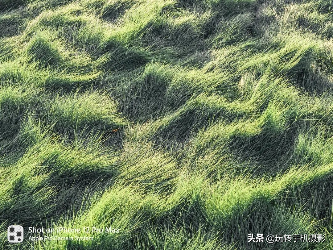 朋友圈发图加水印,朋友圈晒图是什么意思