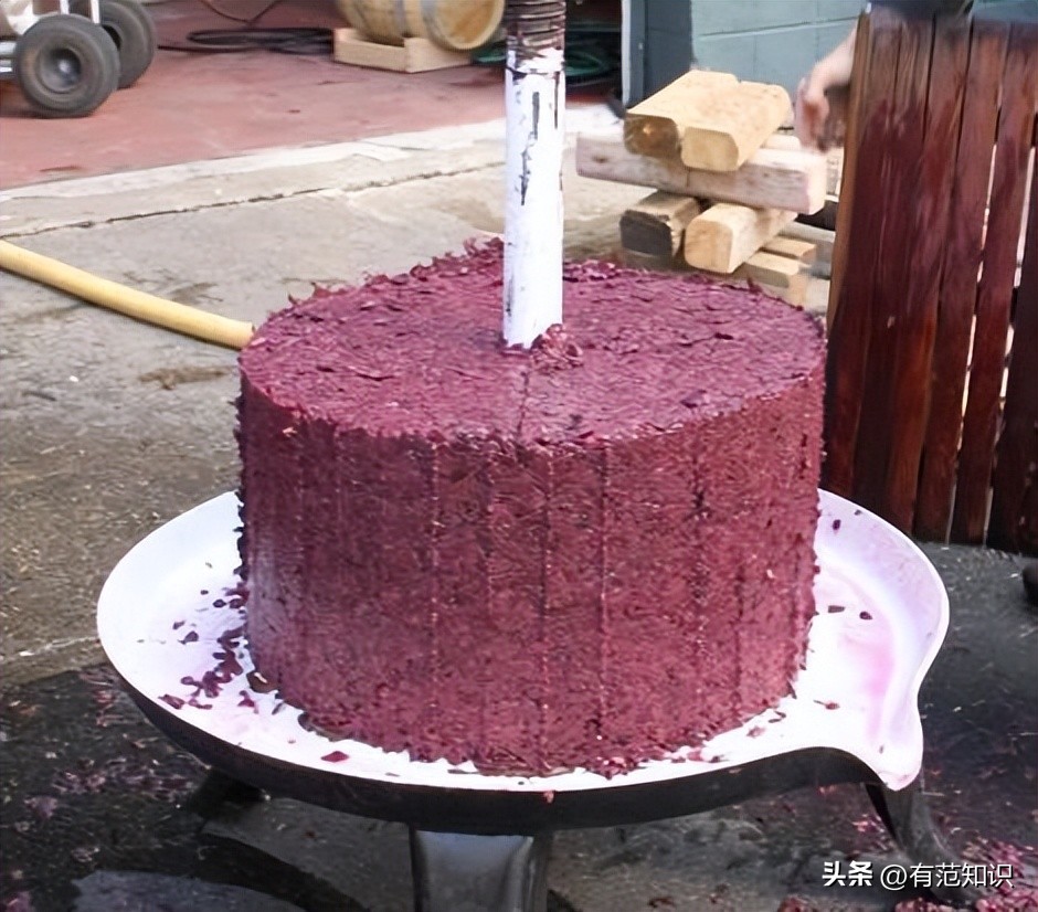 酿造葡萄酒的基本步骤,如何酿造香气扑鼻葡萄酒