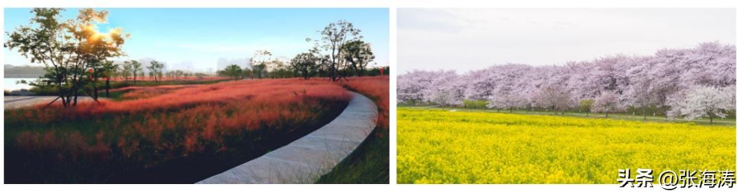 湖北园林绿化工程施工,湖北园林绿化景观设计施工养护