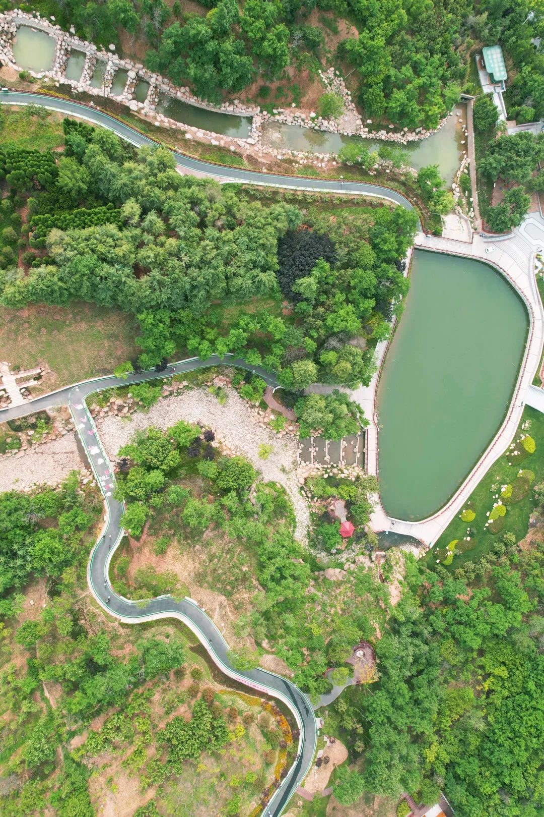 青岛浮山森林公园好玩吗,青岛浮山森林公园开放时间